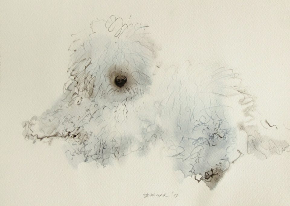 Black and White Dog Painting by Endre Penovác