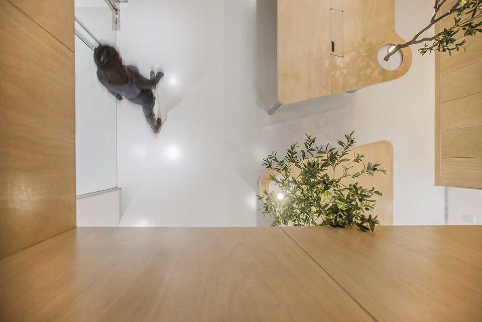 TOWOdesign studio China by Towodesign