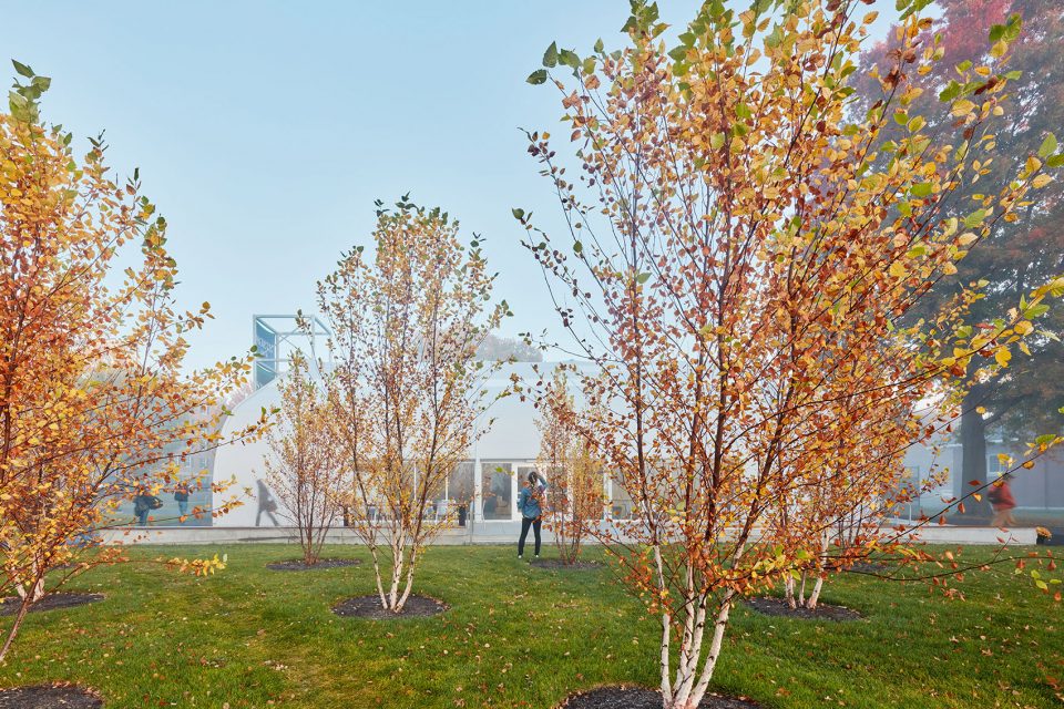 Dartmouth College House Center Pilots by Sasaki