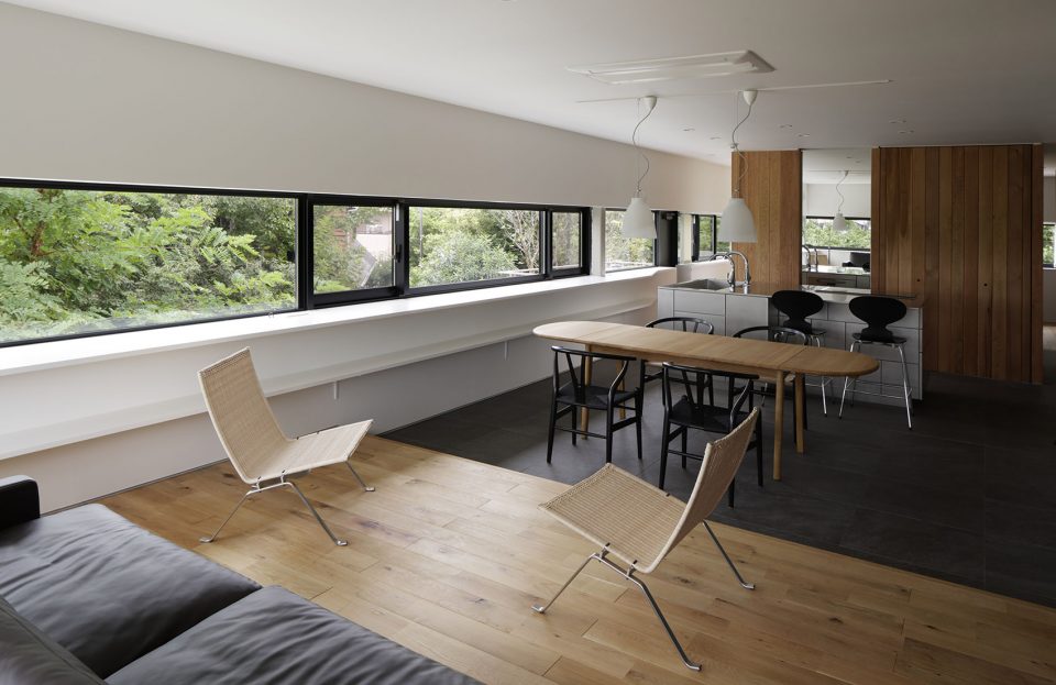 Panorama House by CAPD