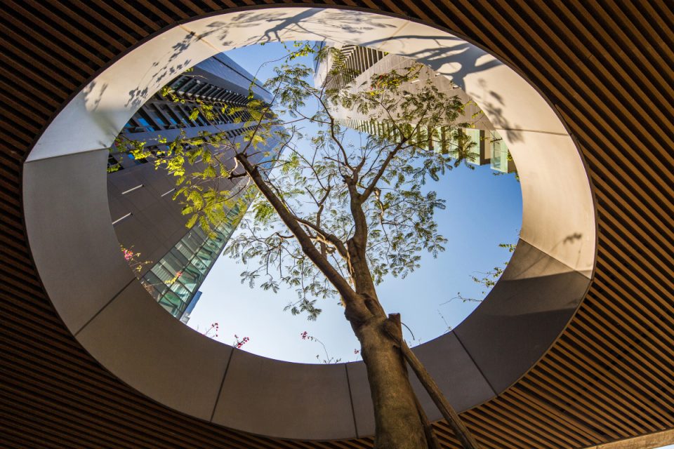 Shenzhen Bolin Tinerry by PleasantHouse