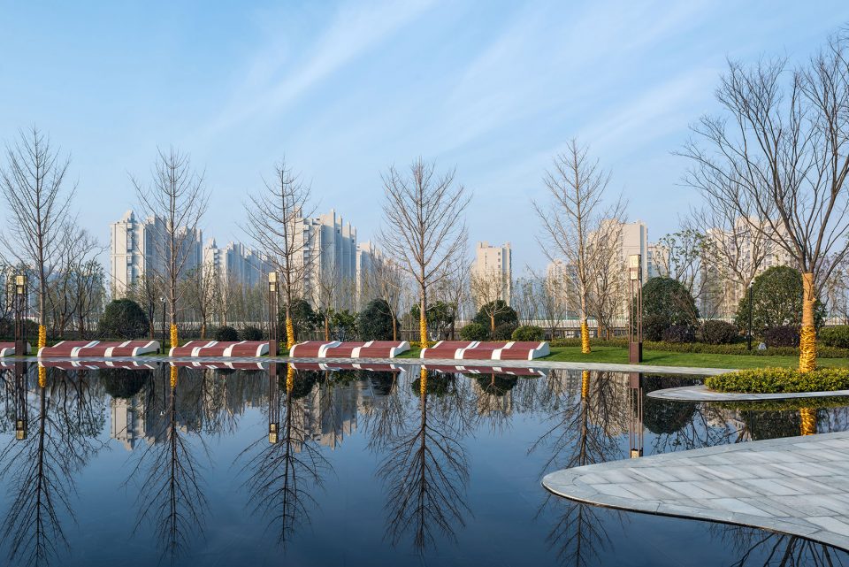 梦境与时光的对话绿地天空树荷于景观