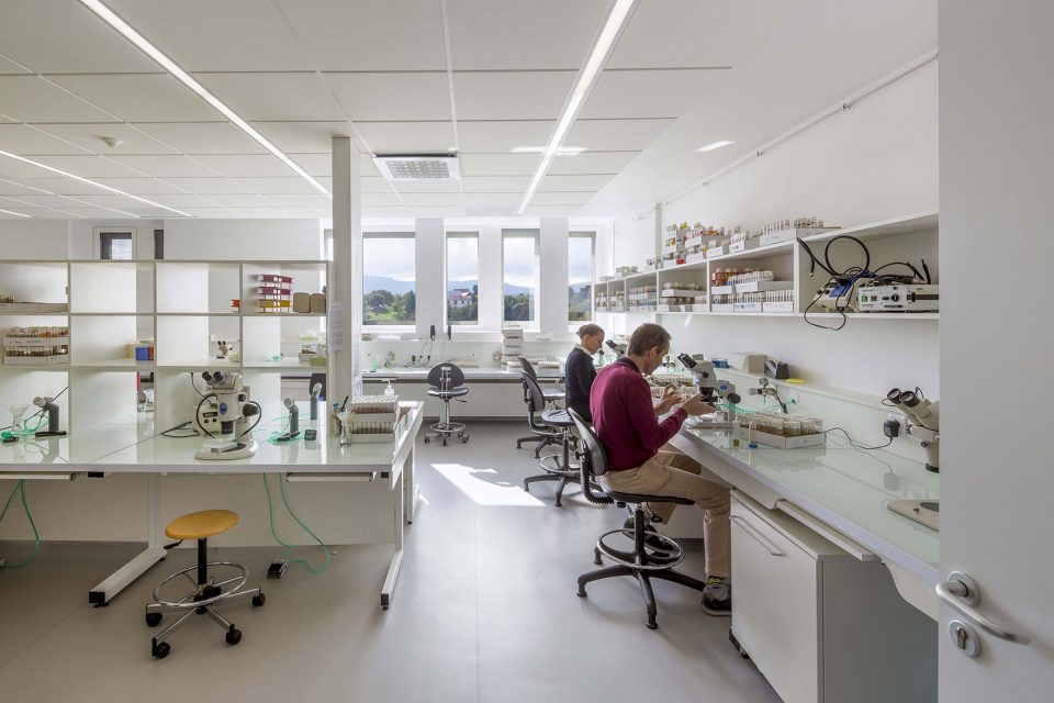 CRBC Centre de Recherche Bio clinique by PERIPHERIQUES Architectes