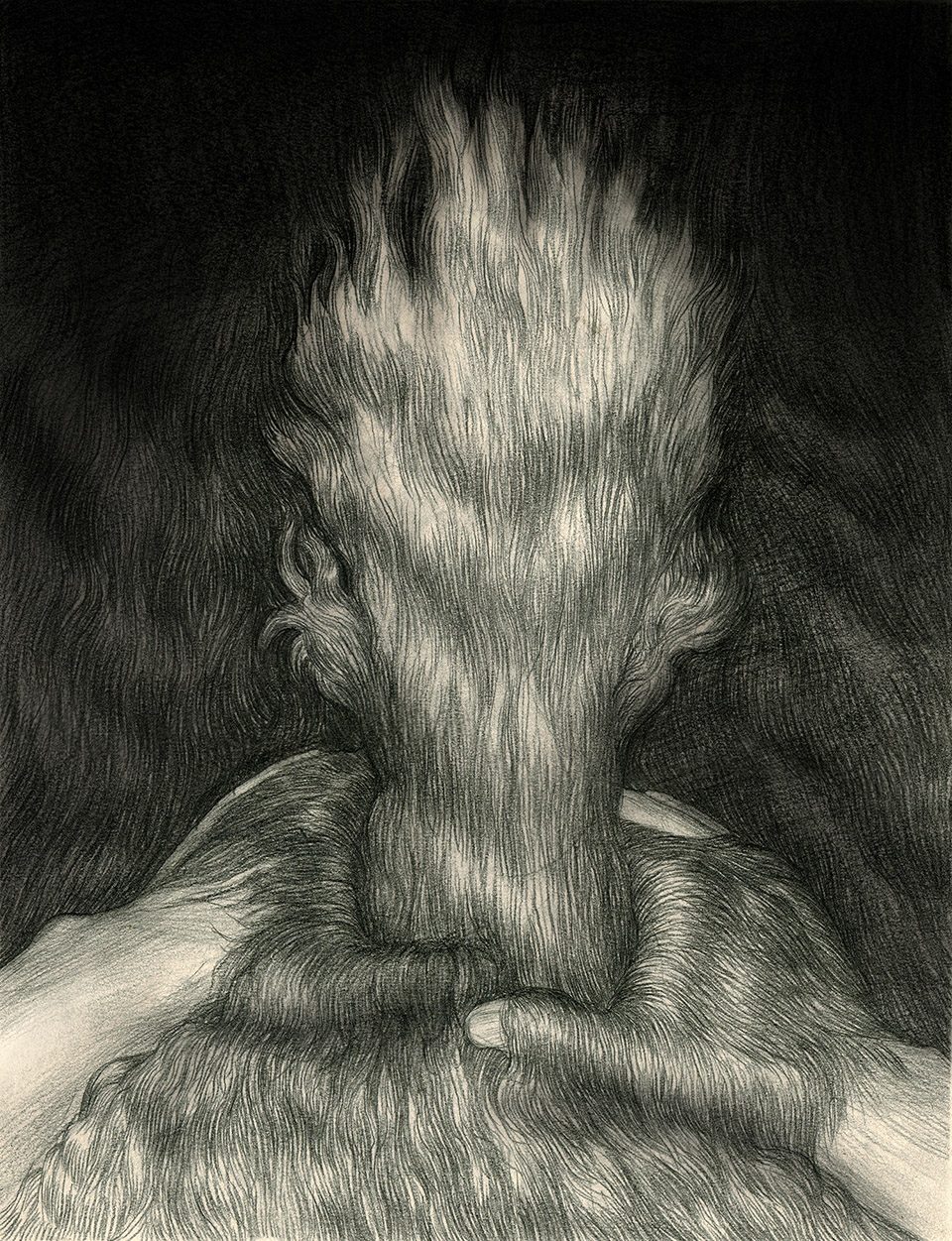 Hairy little flame night vision wenkai mao