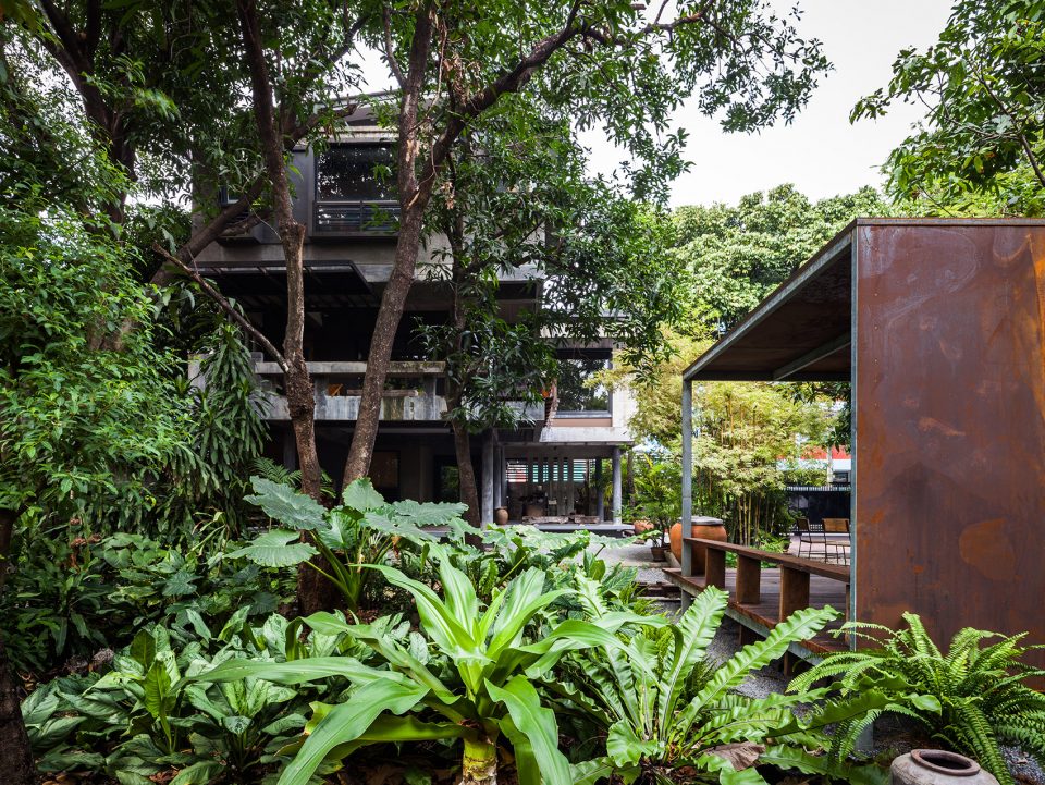 Mango Tree House by Volume Matrix Studio