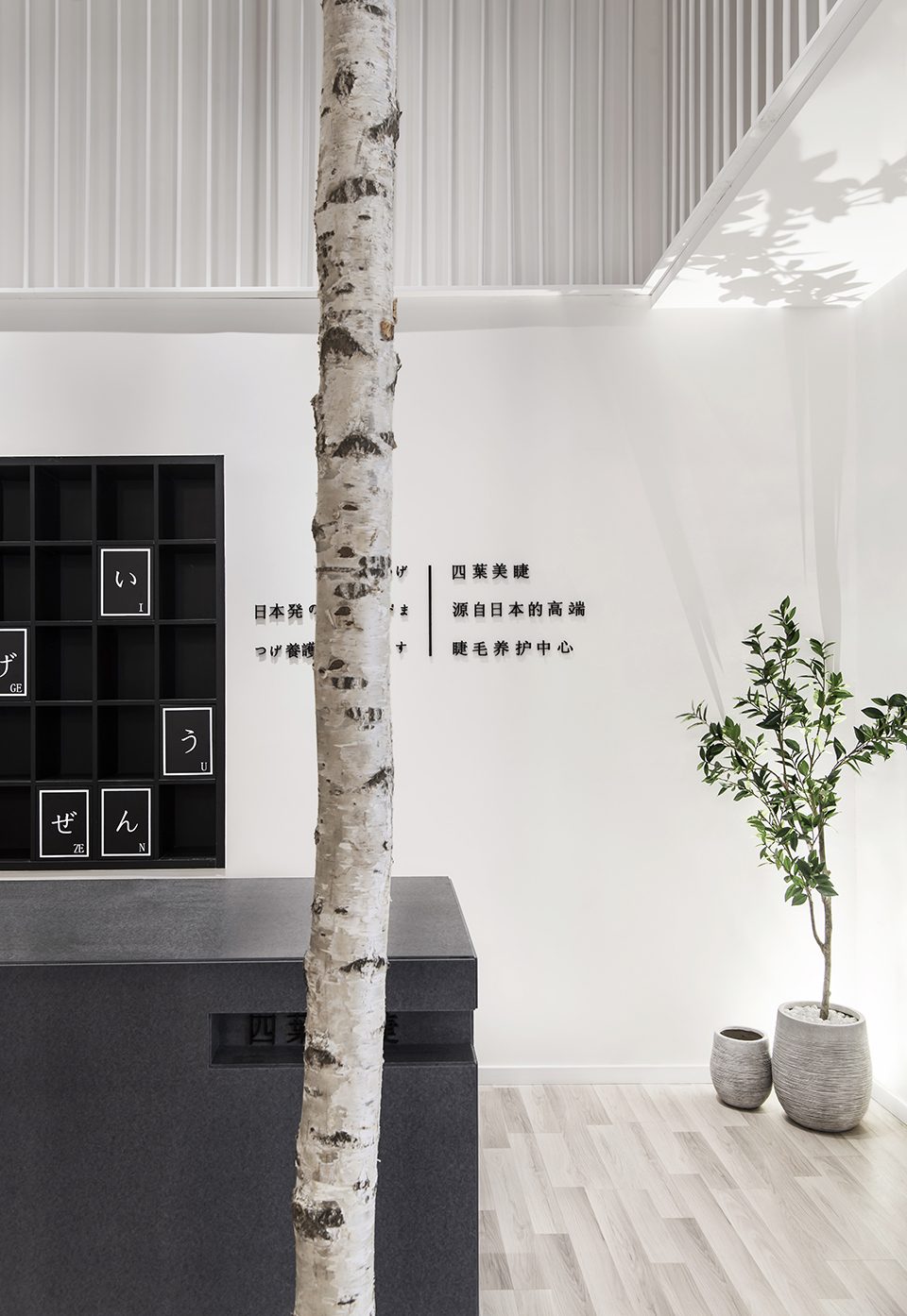 Clover Beauty by Ten Design