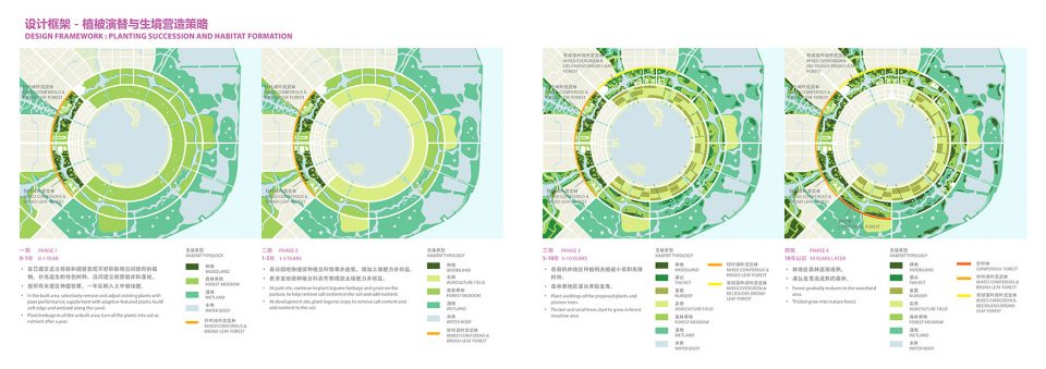 Lingang Ring Park China by Sasaki