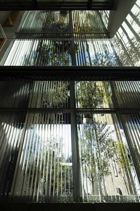 OVULE by Tomokazu Hayakawa Architects