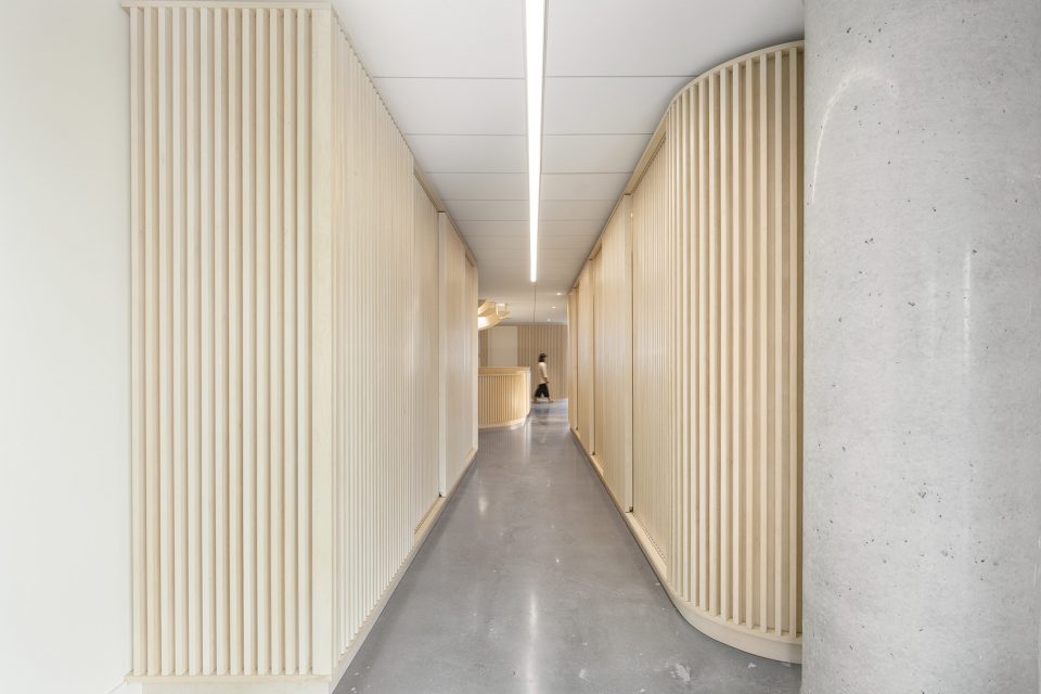 Go Orthodontistes Clinic by Natasha Thorpe Design