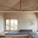 Höller住宅，奥地利 / Innauer-Matt Architekten