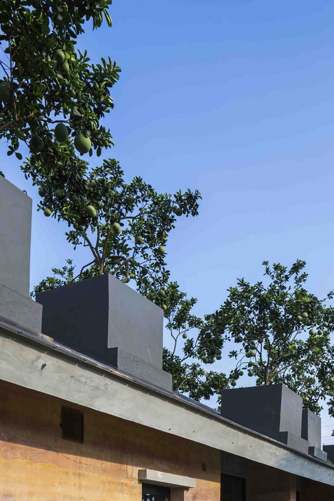 Dong Anh house by VTN Architects