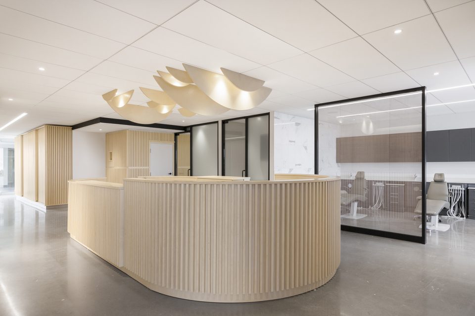 Go Orthodontistes Clinic by Natasha Thorpe Design