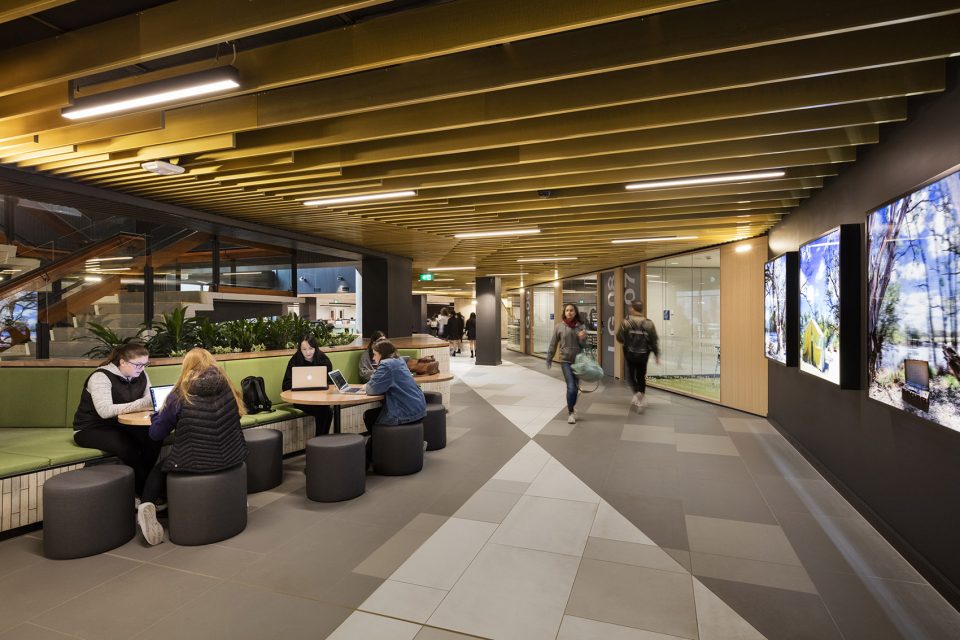 Sir Louis Matheson Library Melbourne Australia by Cox Architecture
