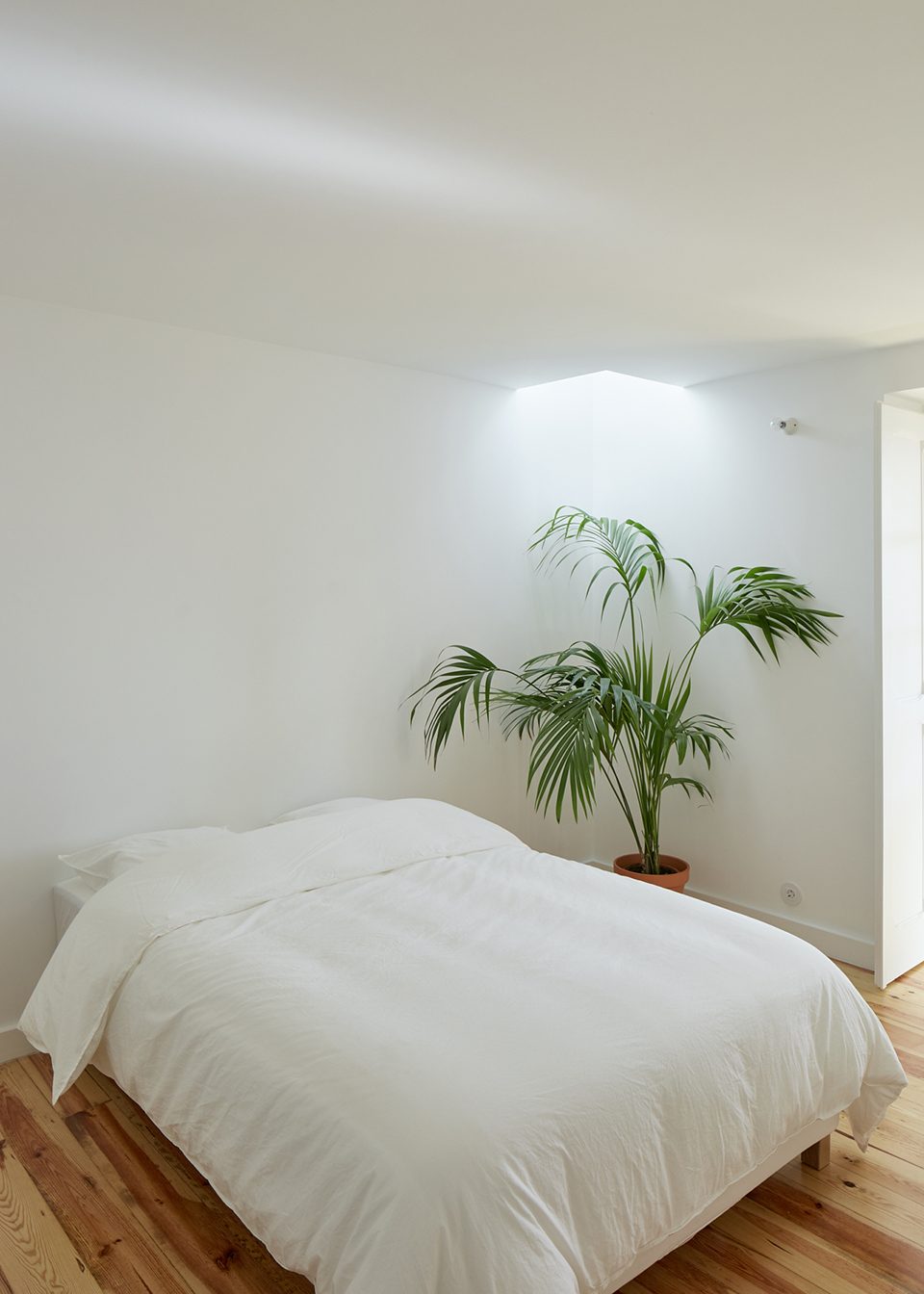 Dom Vasco apartment renovation by Arriba