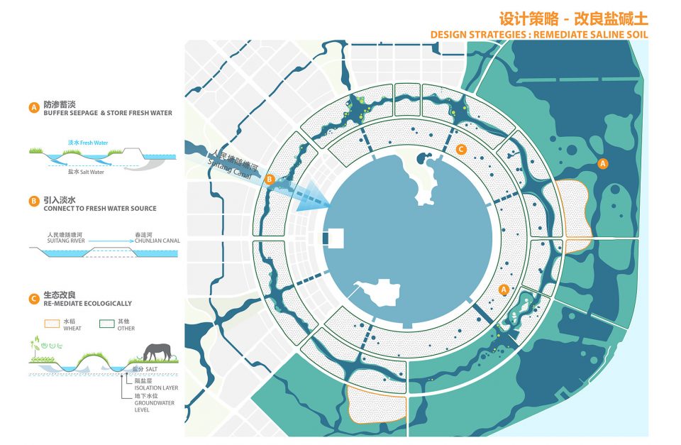 Lingang Ring Park China by Sasaki