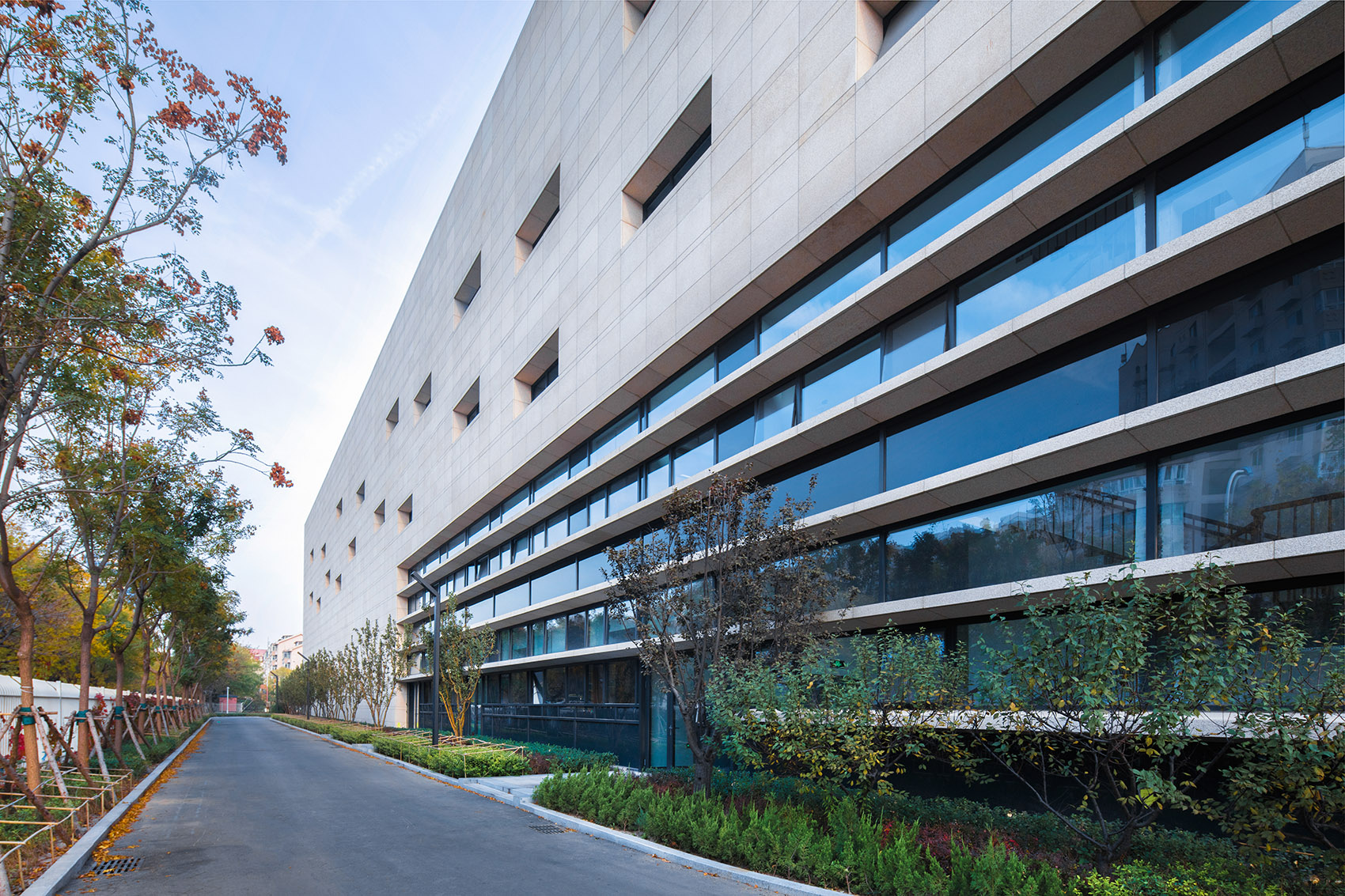 天津泰达一中 / schneider schumacher