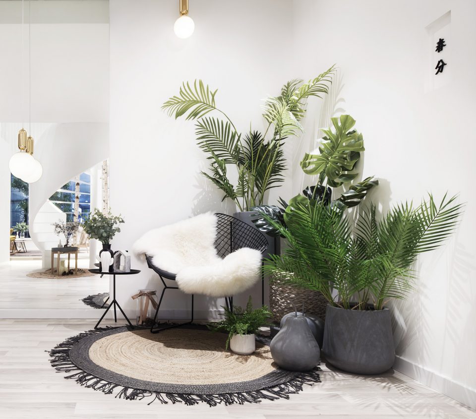 Clover Beauty by Ten Design