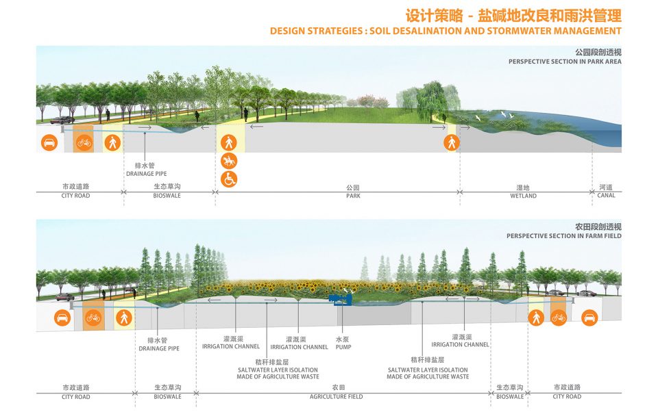 Lingang Ring Park China by Sasaki