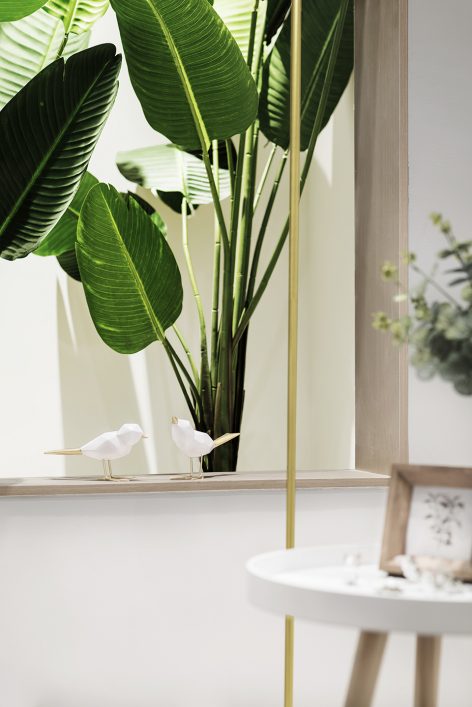 Clover Beauty by Ten Design