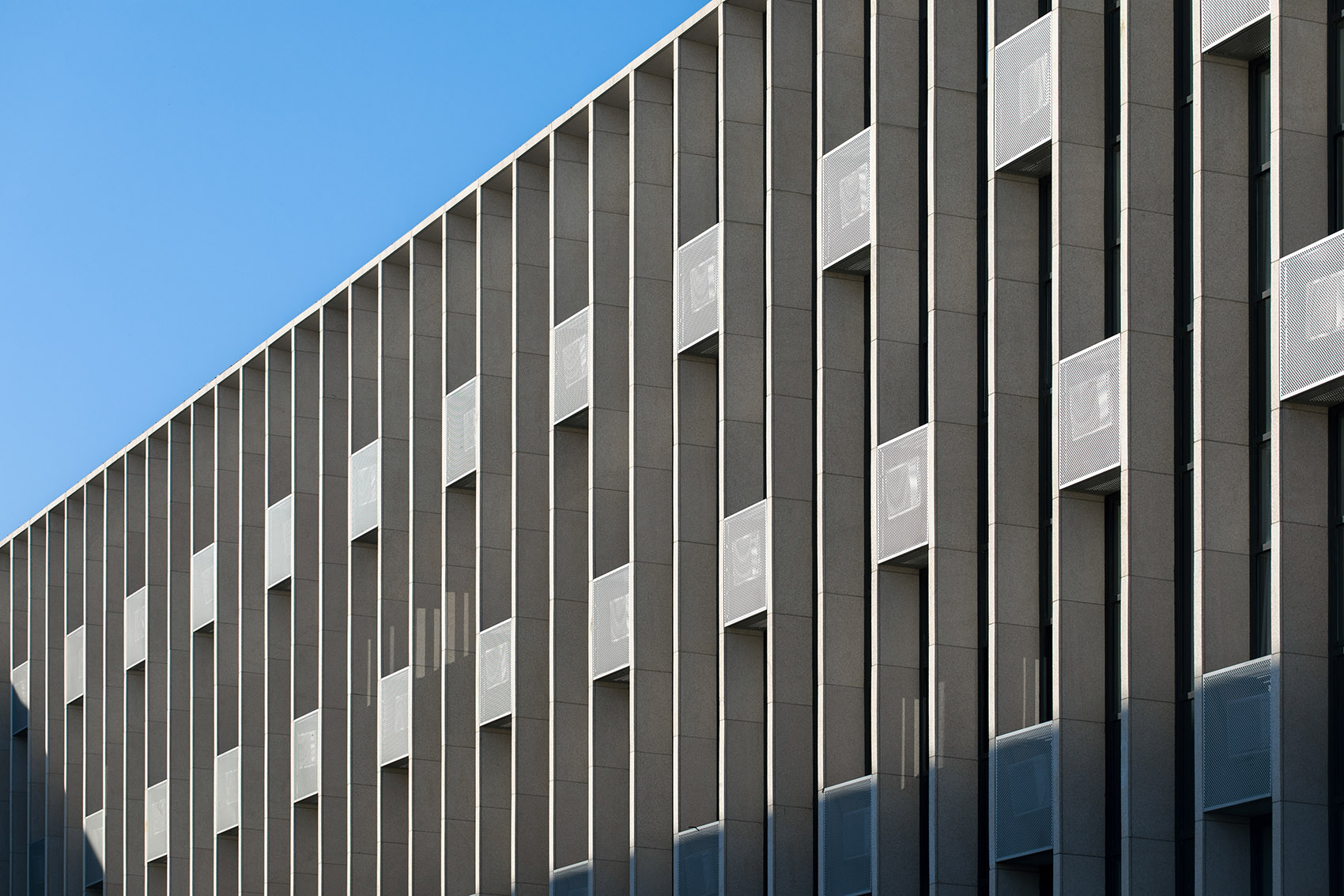 天津泰达一中 / schneider schumacher