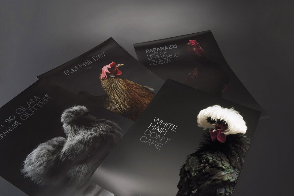 The CHICken book Italy by Moreno Monti Matteo Tranchellini