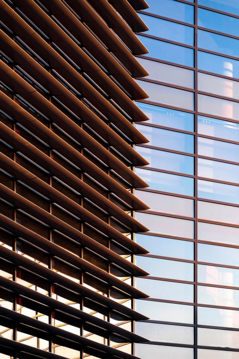 Tianjin Teda School by schneiderschumacher