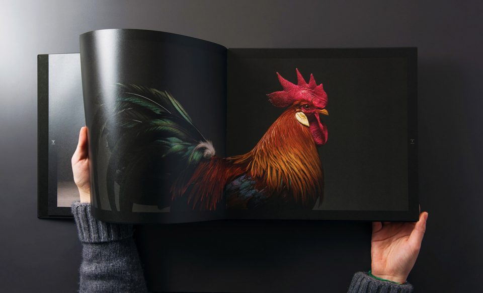 The CHICken book Italy by Moreno Monti Matteo Tranchellini