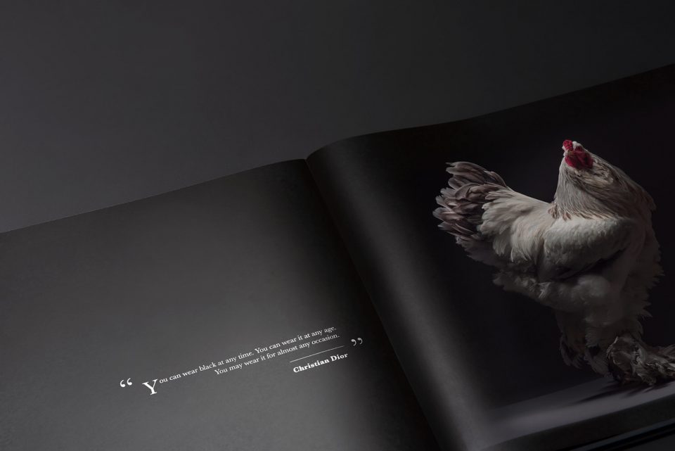 The CHICken book Italy by Moreno Monti Matteo Tranchellini