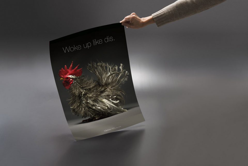 The CHICken book Italy by Moreno Monti Matteo Tranchellini
