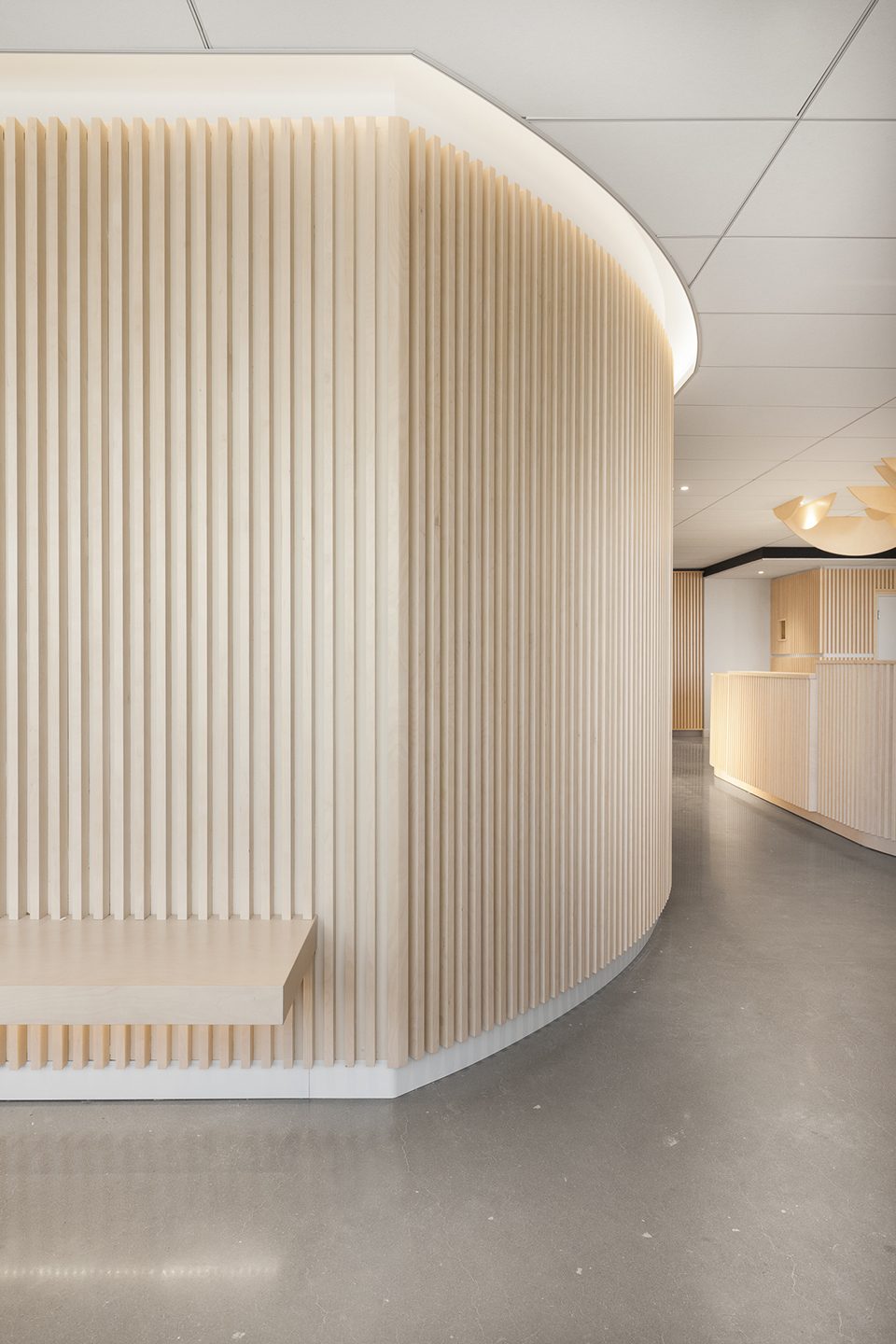 Go Orthodontistes Clinic by Natasha Thorpe Design