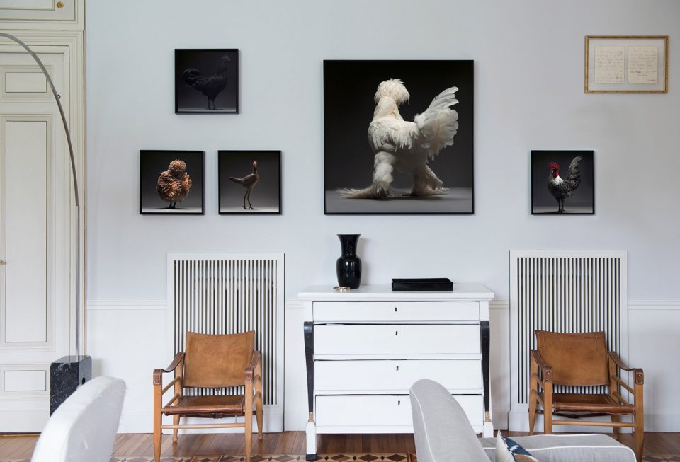 The CHICken book Italy by Moreno Monti Matteo Tranchellini