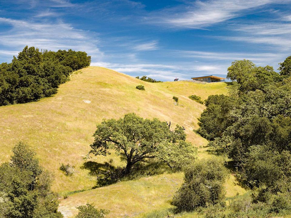 CATERPILLAR HOUSE Carmel Valley CA by Feldman Architecture