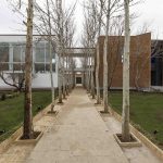 Safadasht Dual 双式公寓，伊朗 / NextOffice-Alireza Taghaboni