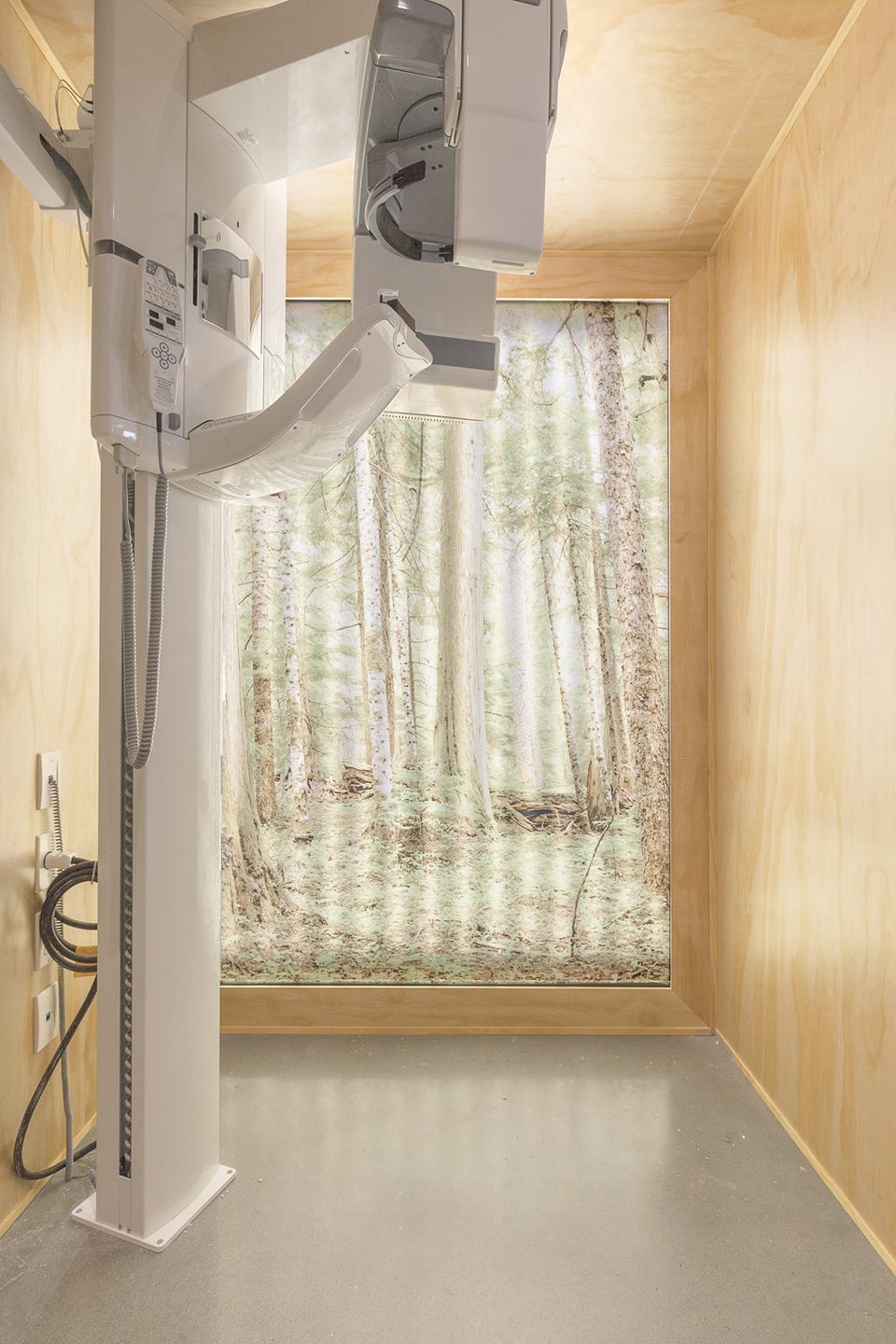 Go Orthodontistes Clinic by Natasha Thorpe Design