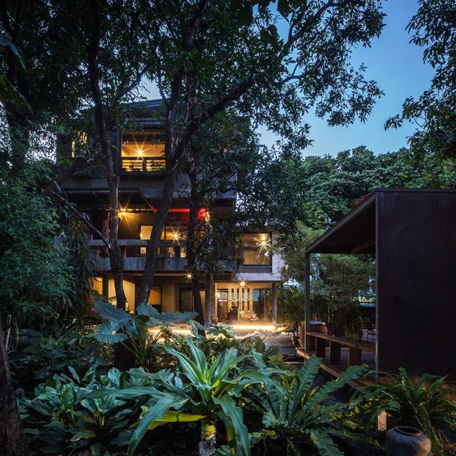 Mango Tree House by Volume Matrix Studio