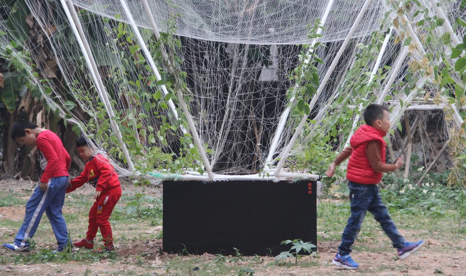 生产型的侧网与生态型的顶网 productive farming nets and water collecting ananti bird net