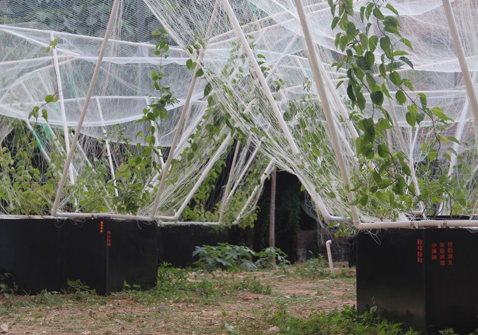 一个生产复合型公共空间 a prototype of productive public space