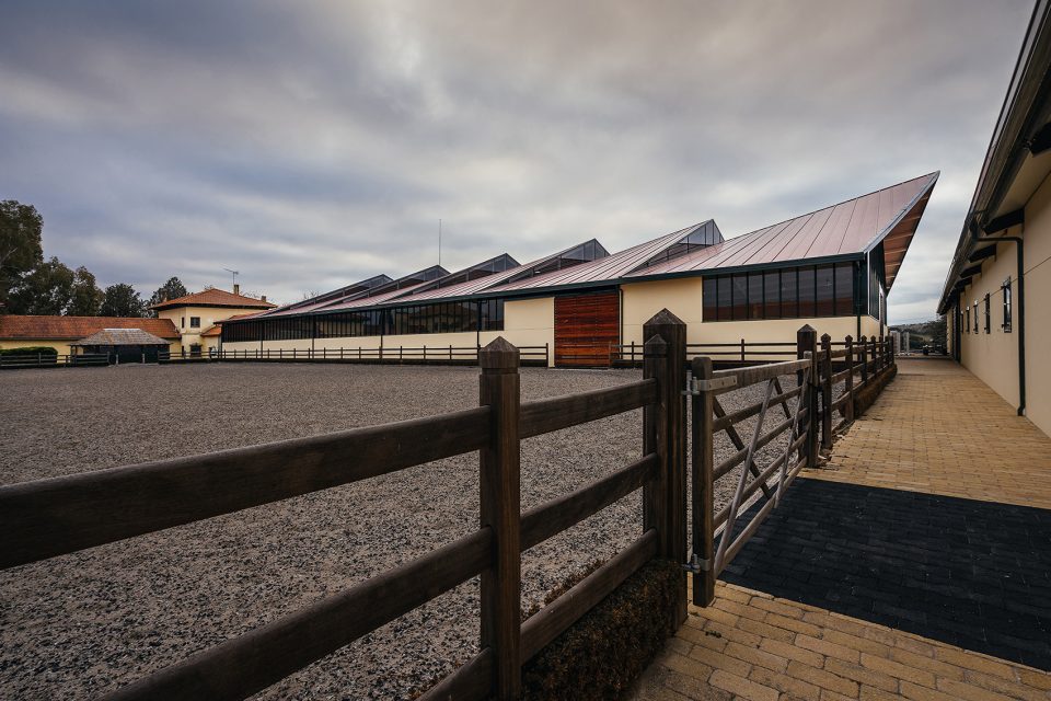 Horse Ridding Field in Cattle Farm by OOIIO Architecture