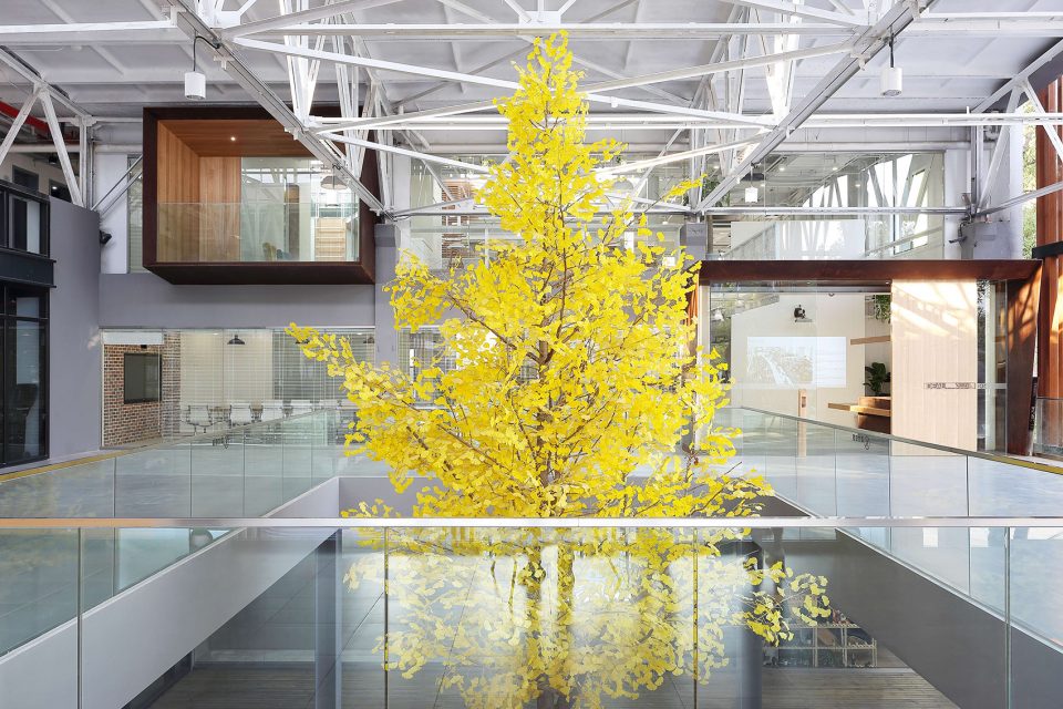 ideal shanghai office china by shanghai branch ideal design construction inc
