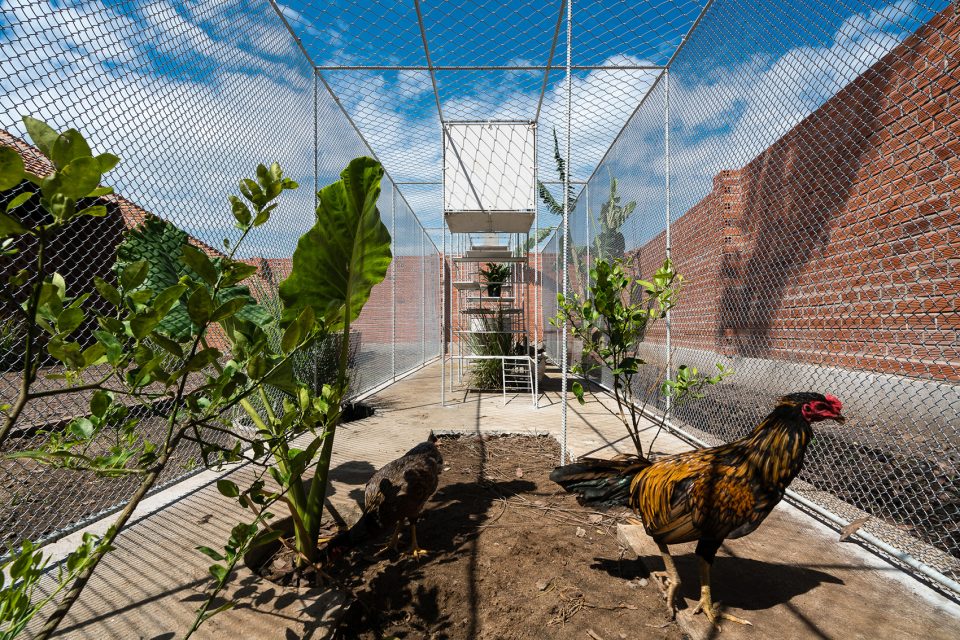 Chicken House by Tropical Space