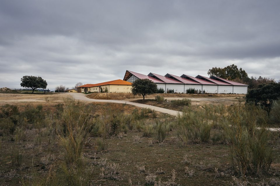 Horse Ridding Field in Cattle Farm by OOIIO Architecture