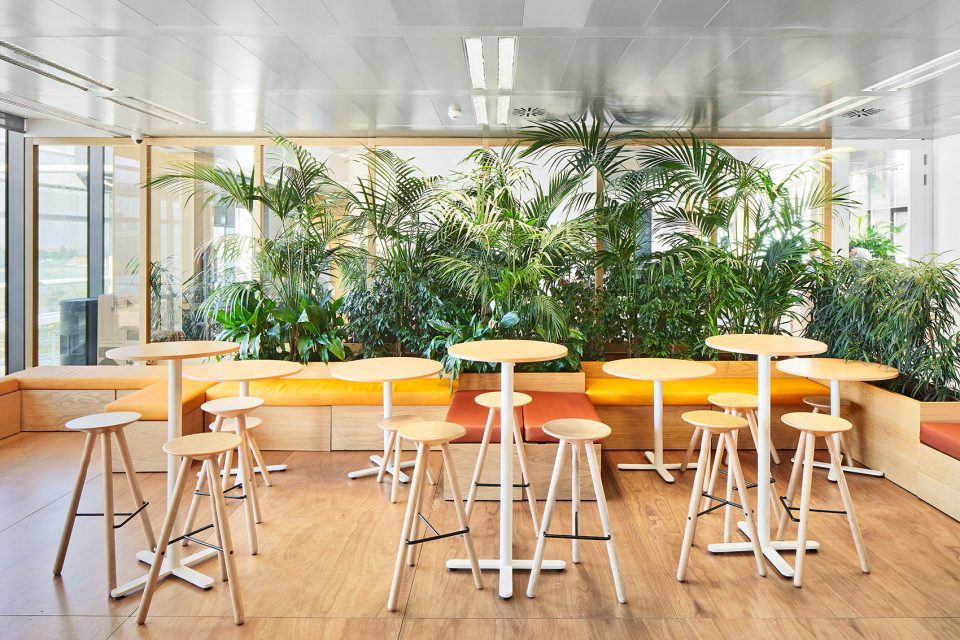 Chemo Office Madrid Spain Chemo Offices by Jorge Vidal