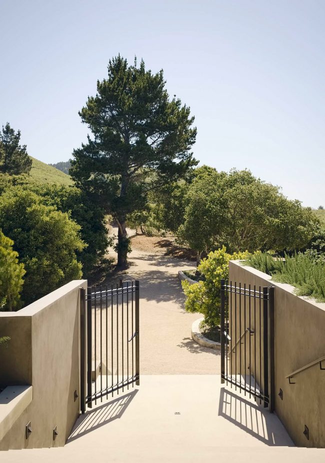 Tehama Residence by Studio Schicketanz