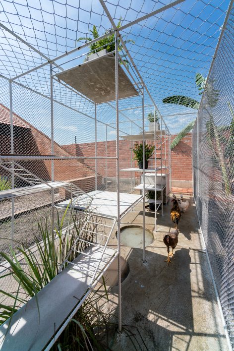 Chicken House by Tropical Space