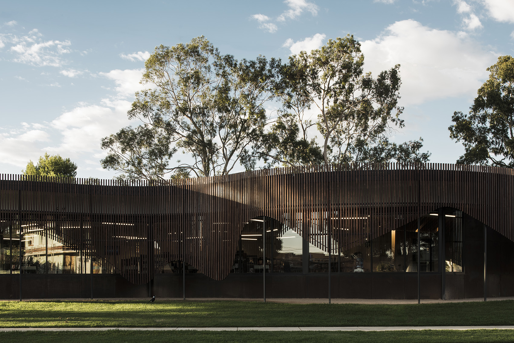 Cobram Library & Learning Centre by CohenLeigh Architects - 谷德设计网