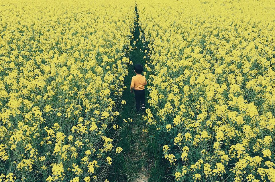 under 35 wangjunfeng hometown