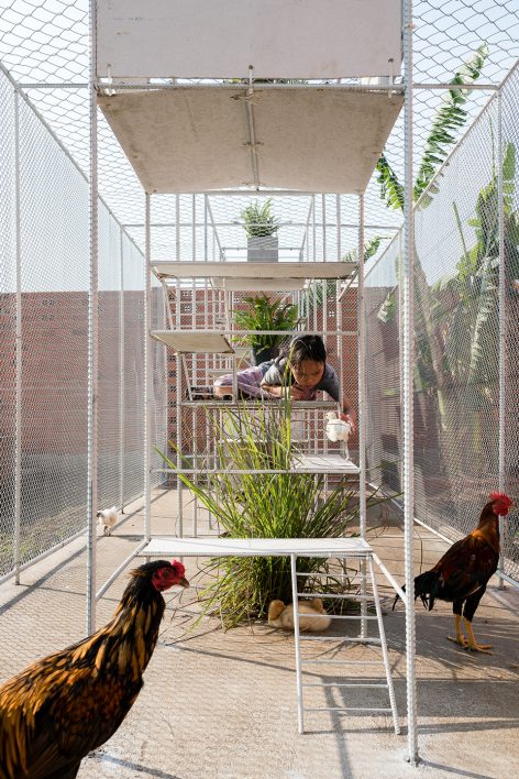 Chicken House by Tropical Space