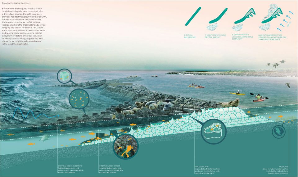 2017 ASLA AWARD OF COMMUNICATIONS Toward an Urban Ecology by SCAPE