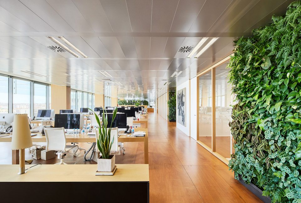 Chemo Office Madrid Spain Chemo Offices by Jorge Vidal