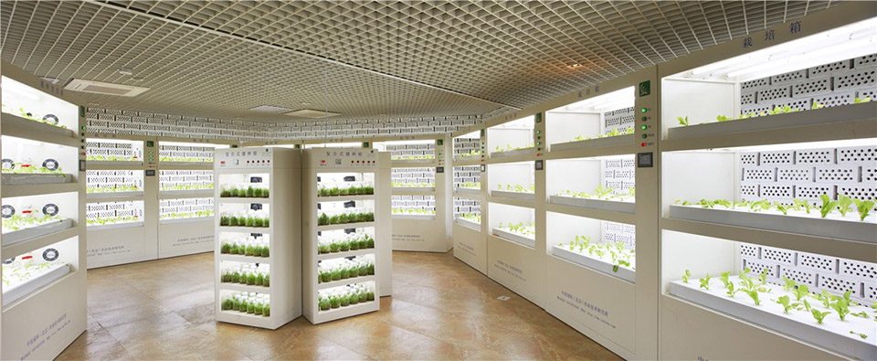 Tangshan World Horticultural Exposition – Botanical Pavilion by Sunlay Design Group 1